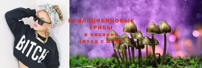 Галлюциногенные грибы Magic Shrooms  где купить   Калтан 